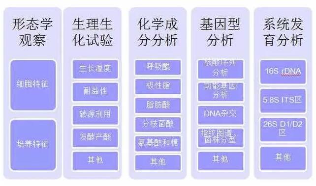 微生物检测基础操作汇总和梳理！