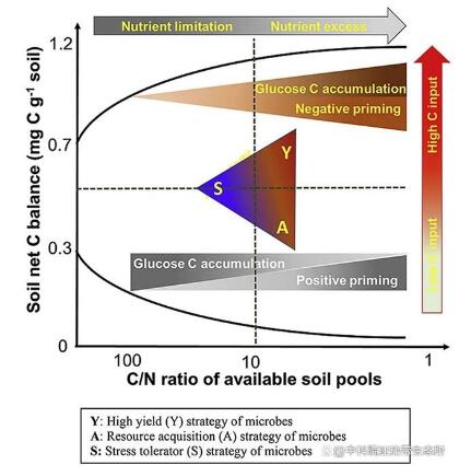 微生物生活策略对激发效应和土壤碳平衡的化学计量调节机制进展