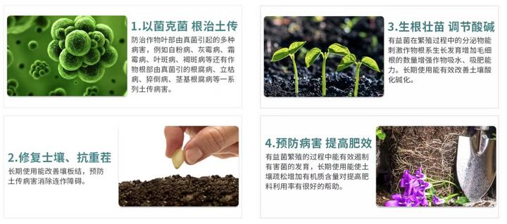 “以菌治菌”理想的生防微生物 