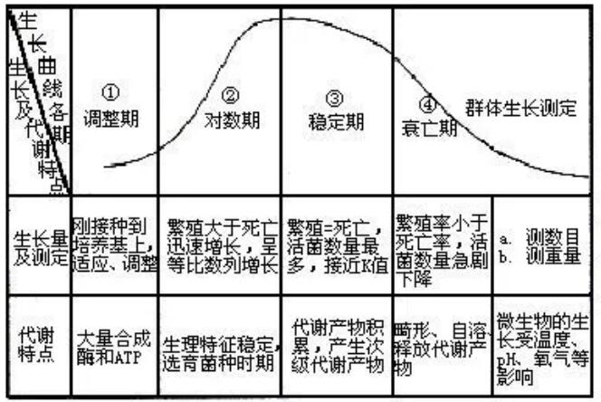 关于活性污泥的10个基本知识