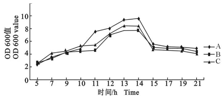 副鸡禽杆菌生长曲线测定方法：分光光度法VS菌落计数法（一）