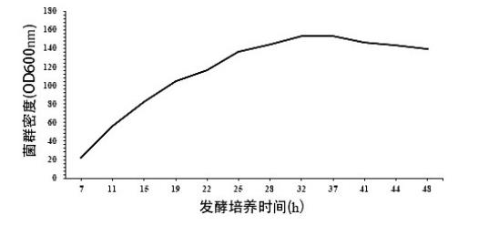 大肠埃希氏菌衰亡期再次接种菌种和补加乳糖可提高岩藻糖基乳糖产量