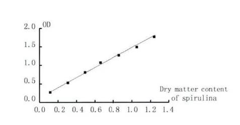 不同光照处理螺旋藻的生长曲线实验及光密度标准曲线