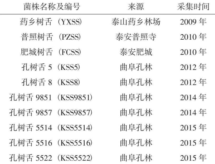 药用真菌树舌灵芝培养基配方及菌丝生长试验（一）