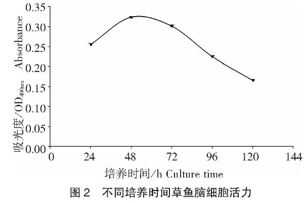 内生真菌对木本植物生长发育分子机制及响应过程