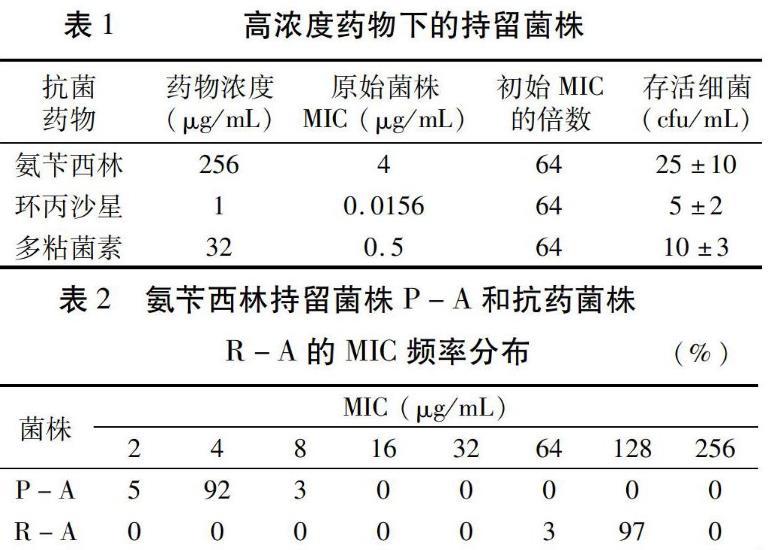 原始菌株、持留菌及抗药菌株药敏特性和生长优势比较（一）