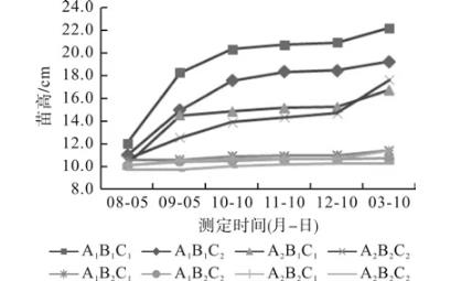 轻基质复配微生物功能菌对江南油杉苗木生长的影响