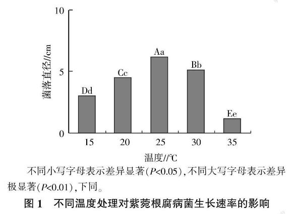 紫菀根腐病菌适宜生长的温度与光照条件