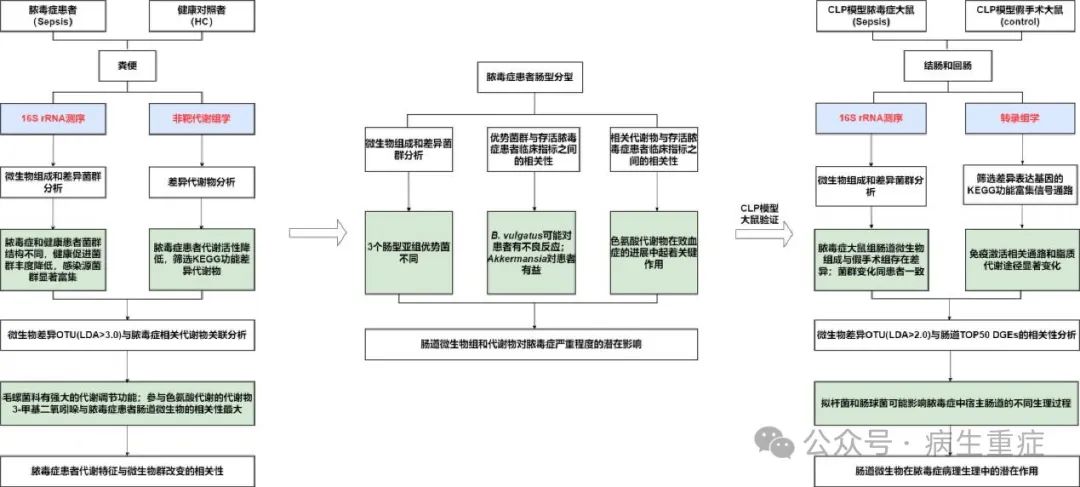 阐明脓毒症中肠道微生物群和代谢物的组成及其与疾病进展的关系（一）