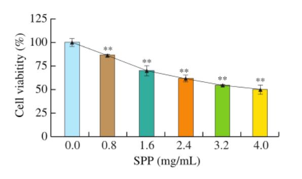 不同剂量SPP对人结肠癌DLD-1细胞能量代谢的影响（一）