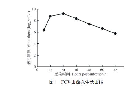 猫杯状病毒生长曲线测定