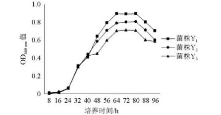 厌氧条件下窖泥富集酯化菌生理生化试验与生长特性（二）