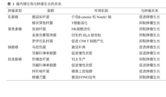肿瘤内微生物的发现、来源、特征及组成