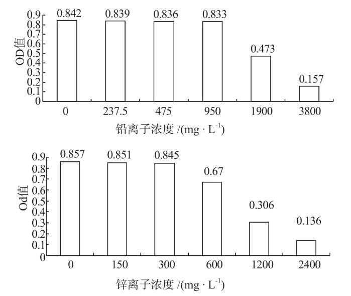 重金属离子铅、锌对水生生物硫酸盐还原菌的毒性效应【实验】