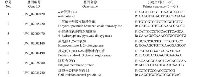 照光对稻曲病菌菌丝生长的影响与调控机制（一）