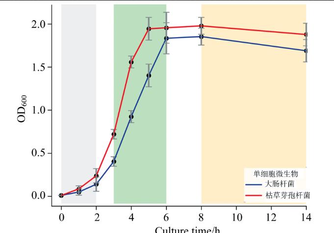 单细胞微生物生长时期精准鉴定与实时监测方法（一）