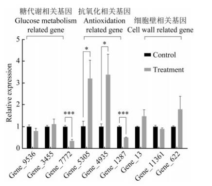 桑椹菌核病拮抗菌的分离筛选、鉴定、生防作用与机理——讨论与结论