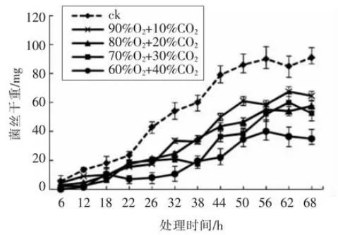 O2/CO2主动自发气调对枝孢菌菌落形态、致病能力、生长曲线的影响（二）