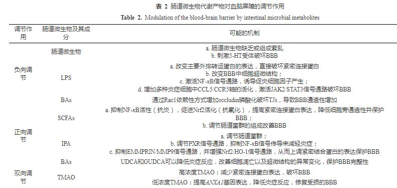 肠道微生物及其代谢产物可调节血脑屏障结构和功能完整性（二）