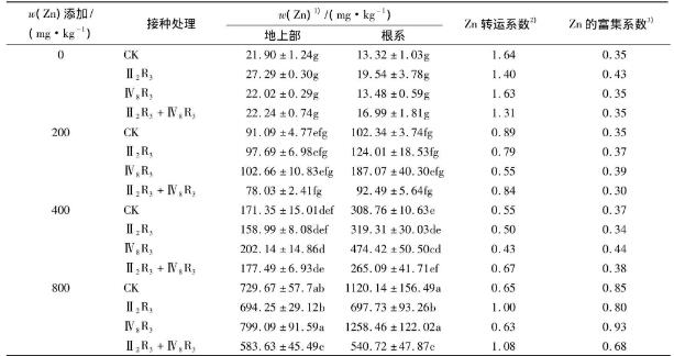 不同锌浓度下菌株Ⅳ8R3、Ⅱ2R3的生长曲线及玉米生长和锌积累的影响（三）