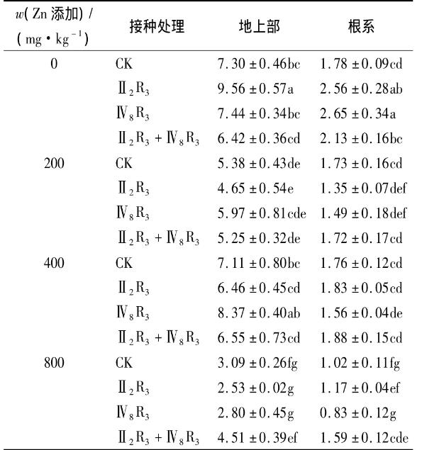 不同锌浓度下菌株Ⅳ8R3、Ⅱ2R3的生长曲线及玉米生长和锌积累的影响（二）