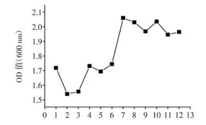 葡萄糖、乳酸钠对丙酸杆菌生长曲线的影响（二）