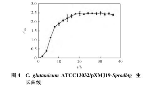 谷氨酸棒杆菌重组菌株生长曲线测定及发酵条件优化（二）
