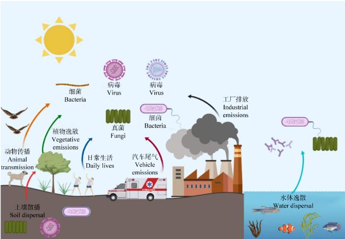 空气中的微生物主要的种类、来源、影响因素及健康风险（一）