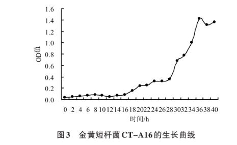 金黄短杆菌CT-A16生长曲线及对主要食用菌病害的生防机制——结果与分析、结论