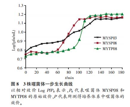 明永冰川地区低温黄杆菌噬菌体生长曲线绘制及生物学特性（四）