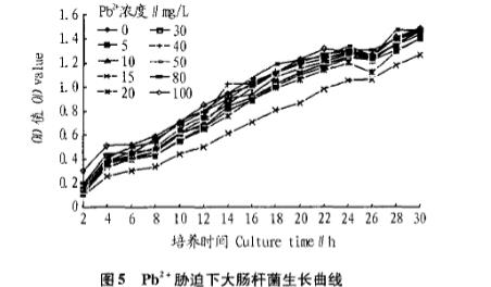 重金属胁迫培养对大肠杆菌和枯草芽孢杆菌生长曲线的影响（二）