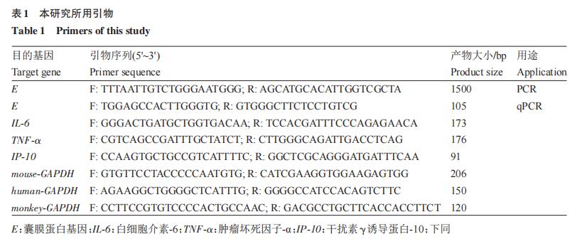 乙脑病毒株囊膜蛋白I176R位点在BV-2细胞上的生长特性差异——材料与方法