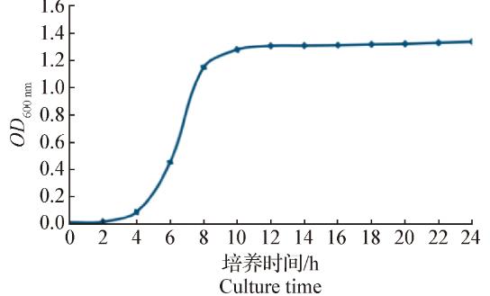 牦牛源产气荚膜梭菌qinghai-12的生化特征及生长曲线测定（二）