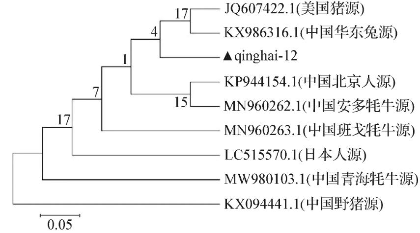 牦牛源产气荚膜梭菌qinghai-12的生化特征及生长曲线测定（三）