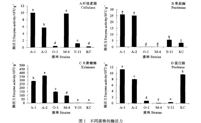 高效降解豆粕碳水化合物和蛋白的菌株筛选及发酵条件优化（一）