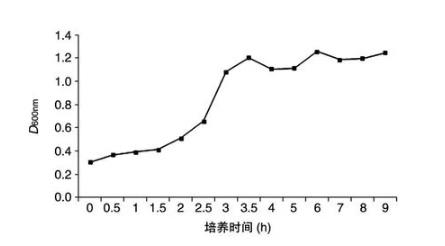 CSP-MDA-7/IL-24重组蛋白肝靶向肽-抗肿瘤肽的最佳表达条件（一）