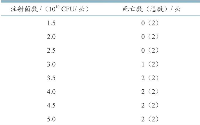 猪丹毒丝菌C43-5株生长曲线、毒力检定标准（三）