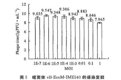 鸡大肠埃希氏菌裂解性噬菌体一步生长曲线、生物学特征及全基因组测序（二）