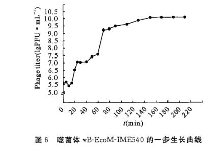 鸡大肠埃希氏菌裂解性噬菌体一步生长曲线、生物学特征及全基因组测序（三）