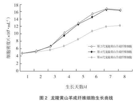 龙陵黄山羊成纤维细胞系制备方法、生长曲线测定（二）