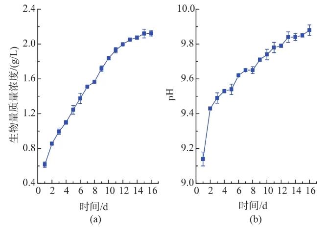 利用膜光生物反应器培养和预采收钝顶螺旋藻的条件（二）