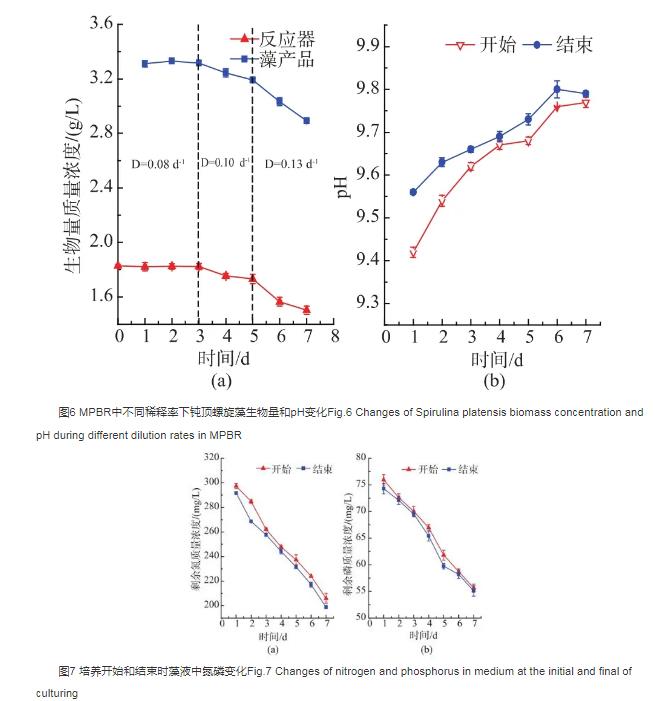 利用膜光生物反应器培养和预采收钝顶螺旋藻的条件（三）