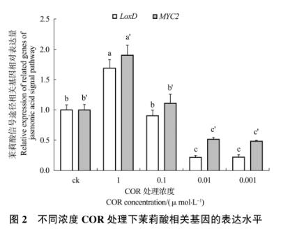 不同浓度冠菌素对番茄防御基因表达、胼胝质沉积及野生型致病菌生长的影响（一）