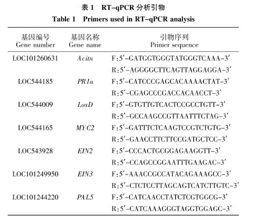 不同浓度冠菌素对番茄防御基因表达、胼胝质沉积及野生型致病菌生长的影响（二）