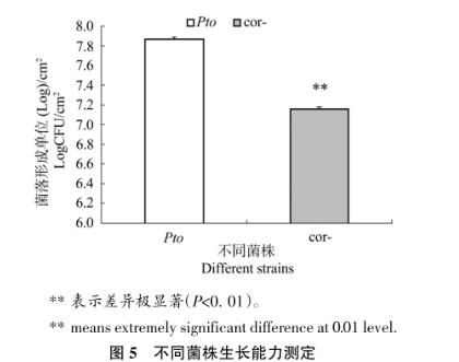 不同浓度冠菌素对番茄防御基因表达、胼胝质沉积及野生型致病菌生长的影响（三）