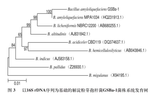 江米酒曲中高产凝乳酶菌筛选、生长曲线及凝乳活力及蛋白水解活力测定（三）