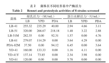 江米酒曲中高产凝乳酶菌筛选、生长曲线及凝乳活力及蛋白水解活力测定（二）